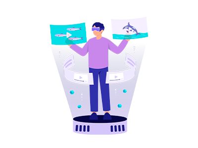 Metamorfosis Significado