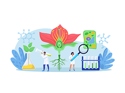 Relación de la Biología con otras Ciencias